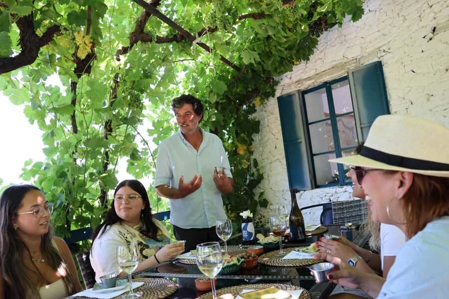 From Porto: 2 Boutique Wineries w/ Winery Lunch & 1-h cruise - Key highlights you will feel right away