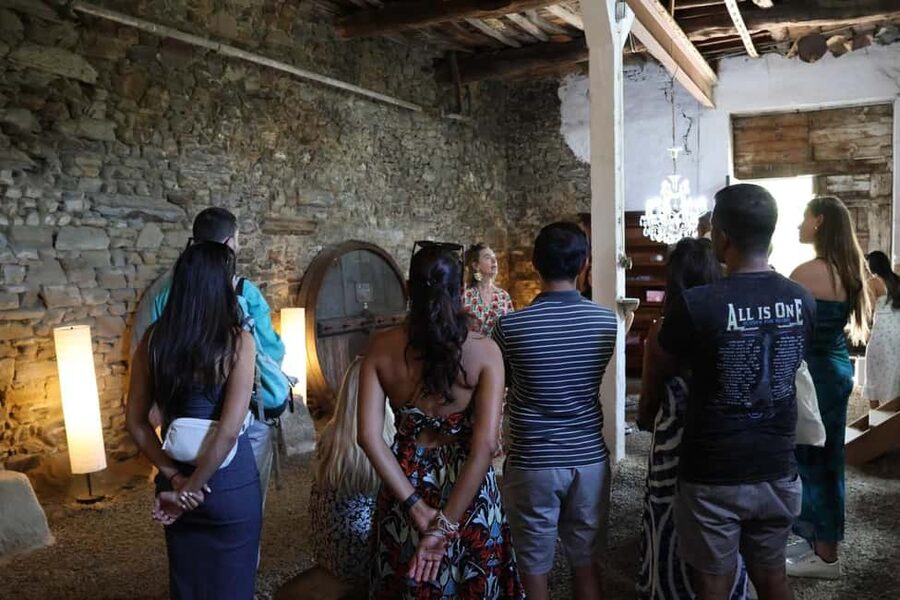 From Porto: 2 Boutique Wineries w/ Winery Lunch & 1-h cruise - Who should book this Douro Valley day trip, and who should skip it