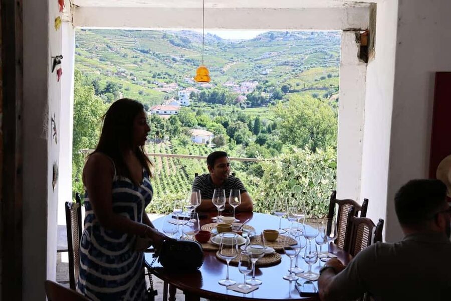 From Porto: 2 Boutique Wineries w/ Winery Lunch & 1-h cruise - The van, the group size, and guides like Maria and Joao