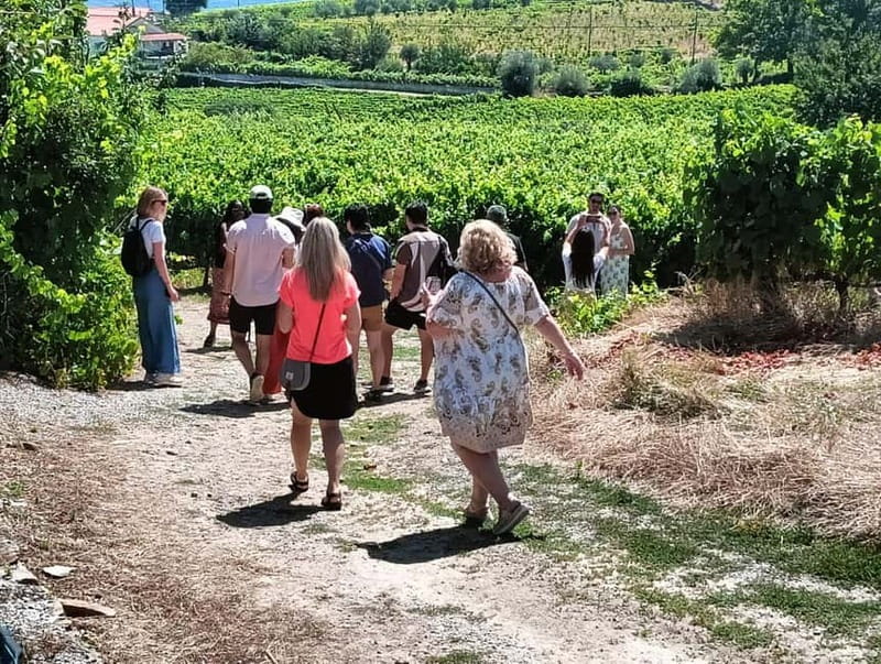 From Porto: 2 Wine Regions, Farm Lunch, and Boat Ride - Two Winery Stops in the Douro, DOC and Port Tastings Done Right