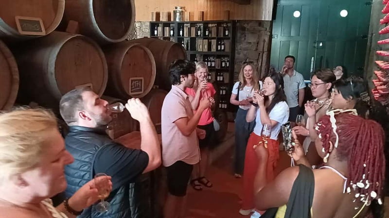 From Porto: 2 Wine Regions, Farm Lunch, and Boat Ride - Price and Value: Is $112 Worth It?