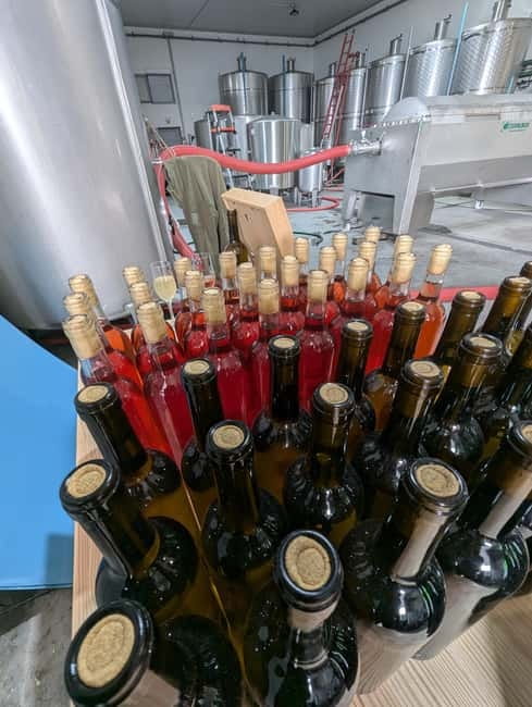 From Porto: 2 Wine Regions, Farm-to-Table Lunch & Boat - Pinhão Photo Stop and the Private Boat Cruise on the Douro