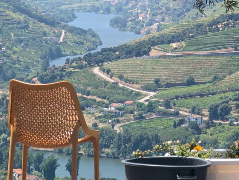 From Porto: 2 Wine Regions, Farm-to-Table Lunch & Boat - The 10 Tastings Plus Olive Oil: What You Actually Sample