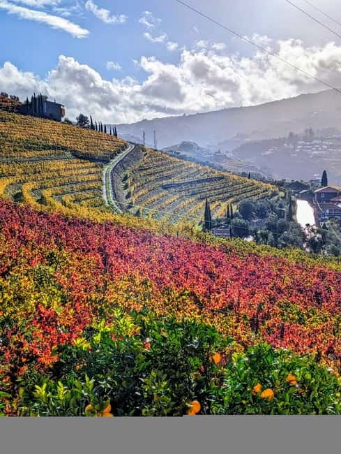 From Porto: 2 Wine Regions, Farm-to-Table Lunch & Boat - The Vintage Port Opening With Fire: A Ritual Worth Watching