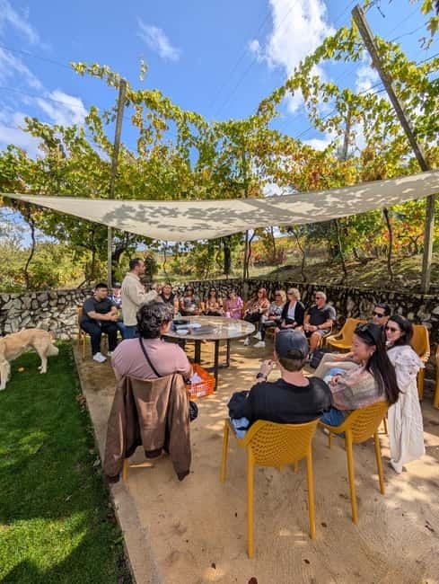From Porto: 2 Wine Regions, Farm-to-Table Lunch & Boat - Food That Matches the Wine: Farm-to-Table Lunch, Brunch, or Dinner