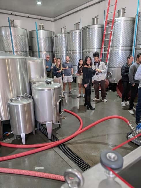 From Porto: 2 Wine Regions, Farm-to-Table Lunch & Boat - Guides, Pace, and the Small-Group Feel