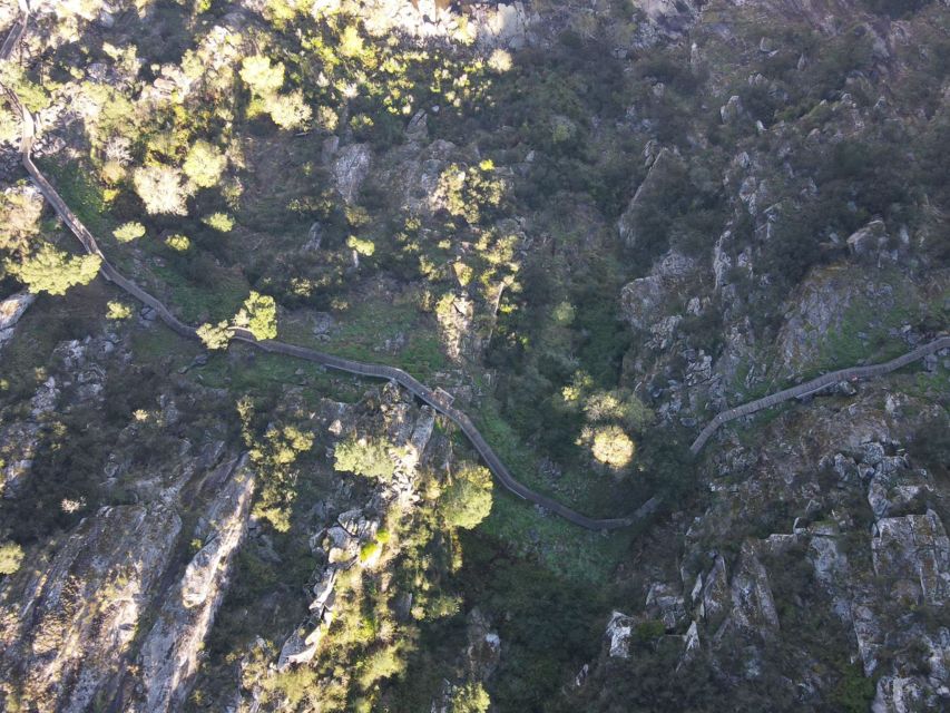 From Porto: Arouca 516 and Paiva Walkways Guided Day Trip - Guide style, group size, and the comfort factor that matters