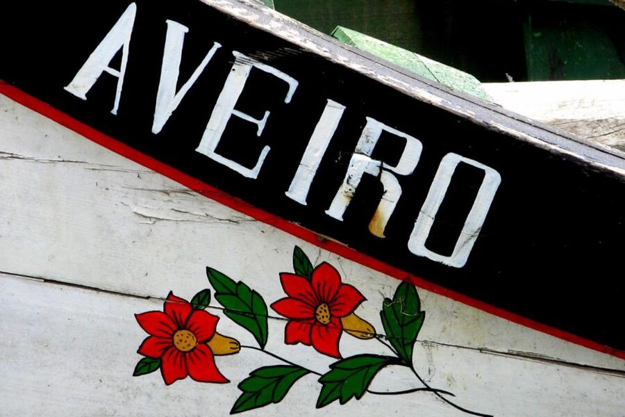 From Porto: Aveiro Half-Day Tour with 1-Hour Cruise - Baroque cathedrals and Aveiro’s salt-marsh story