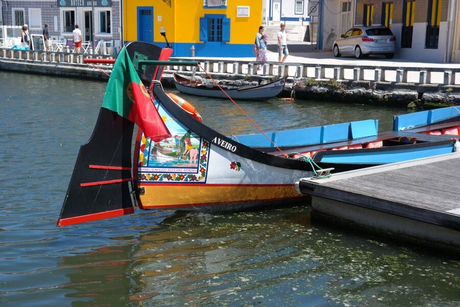 From Porto: Aveiro Half-Day Tour with 1-Hour Cruise - Tips to make your limited time feel longer