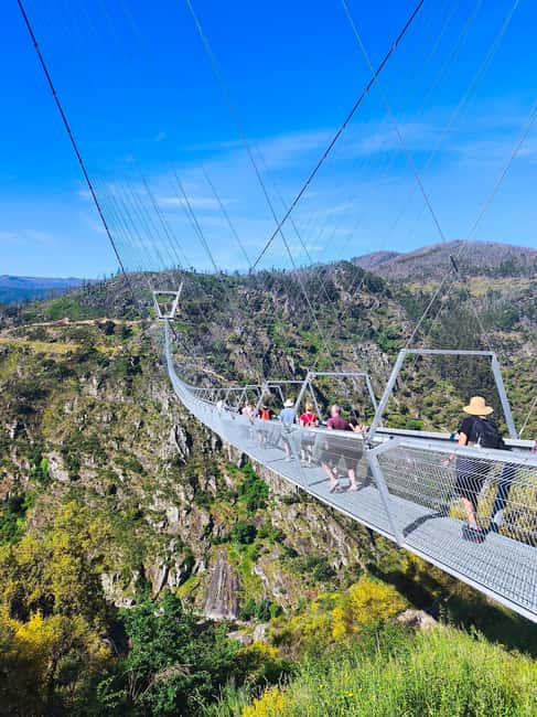 From Porto: Aveiro, Paiva Walkways, & Suspension Bridge Tour - Arouca 516 suspension bridge: the wind, the views, and your skip option