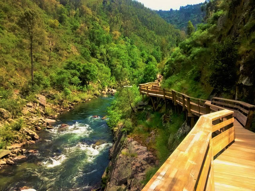 From Porto: Aveiro, Paiva Walkways, & Suspension Bridge Tour - Price and logistics: does $127 feel fair?