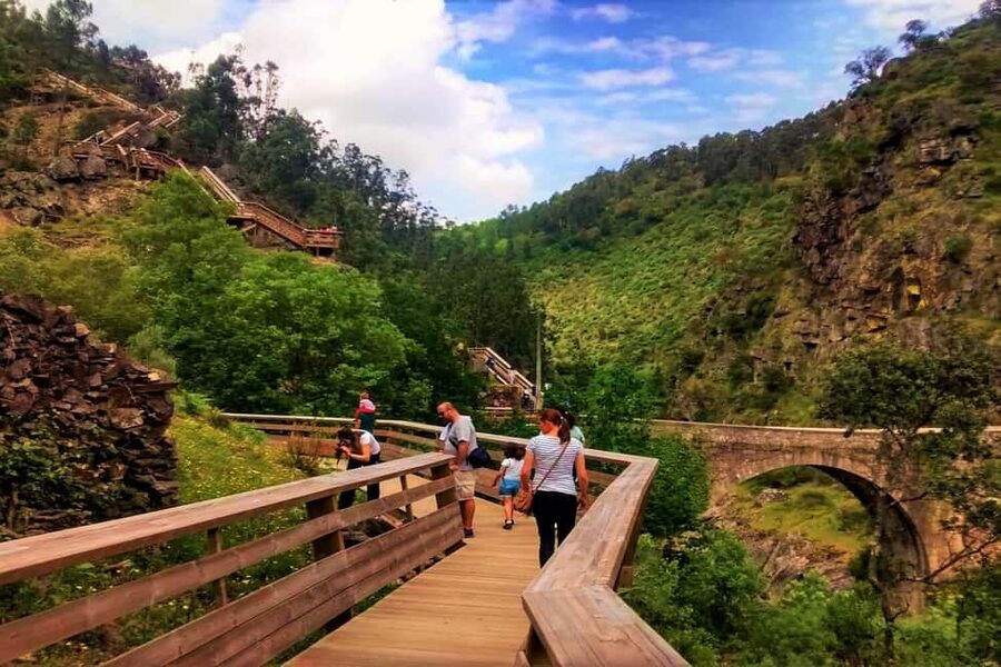 From Porto: Aveiro, Paiva Walkways, & Suspension Bridge Tour - Morning start from Porto: timing, comfort, and how to be ready
