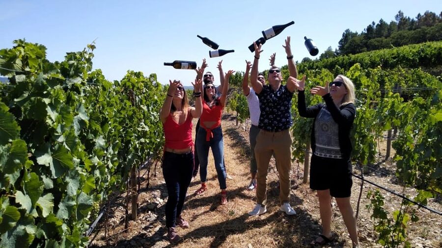 From Porto: Douro Valley Tour with Tastings, Boat & Lunch - Key points I’d circle before you go