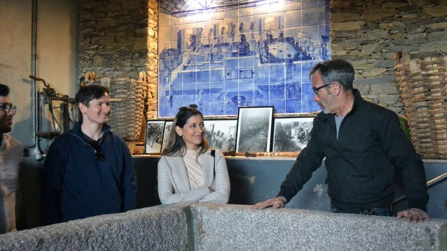 From Porto: Douro Valley Tour with Tastings, Boat & Lunch - Lunch break that actually fuels the afternoon