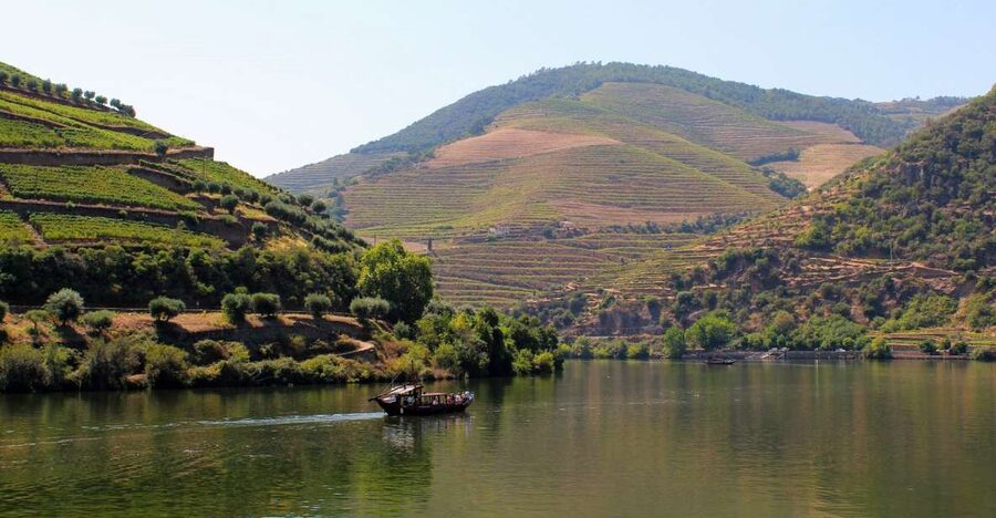 From Porto: Douro Valley Tour with Tastings, Boat & Lunch - Winery stop two: Port wine production and tasting, family-style