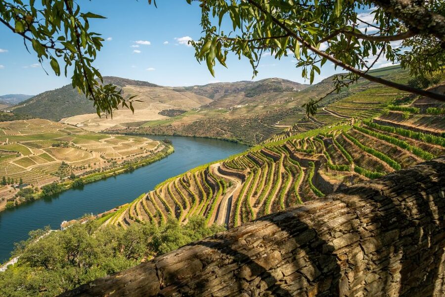 From Porto: Douro Valley Tour with Tastings, Boat & Lunch - Best days, best people, and what to bring