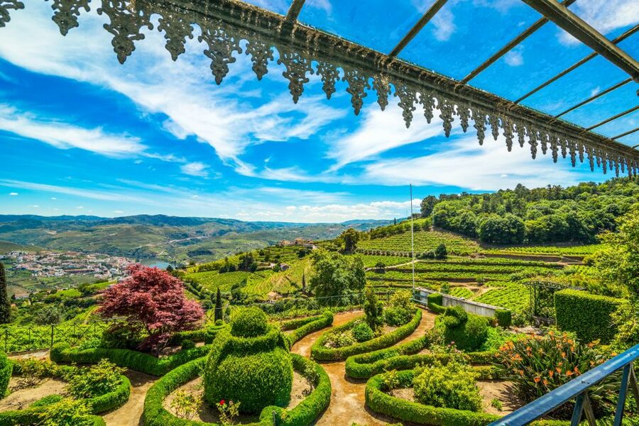 From Porto: Douro Valley w/ Boat Tour, Wine Tasting & Lunch - Second winery stop in Pinhão, plus olive oil tasting