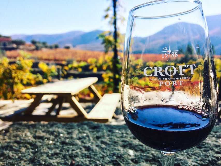 From Porto: Douro Valley w/ Boat Tour, Wine Tasting & Lunch - Getting around: comfort, group size, and guide behavior