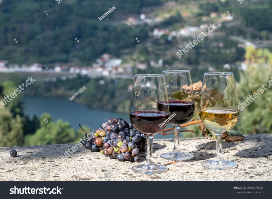 From Porto: Full-Day Douro Historical Tour - Porto to the Douro by coach, and why the route matters