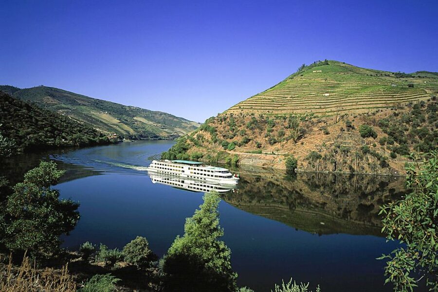 From Porto: Full-Day Douro Historical Tour - Lunch in the Douro region, simple and built into the pacing