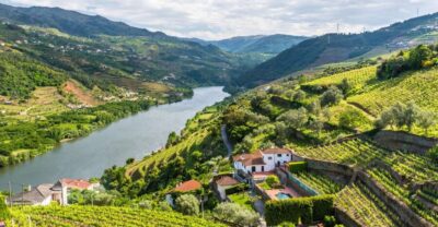 Full-Day Douro Historical Tour