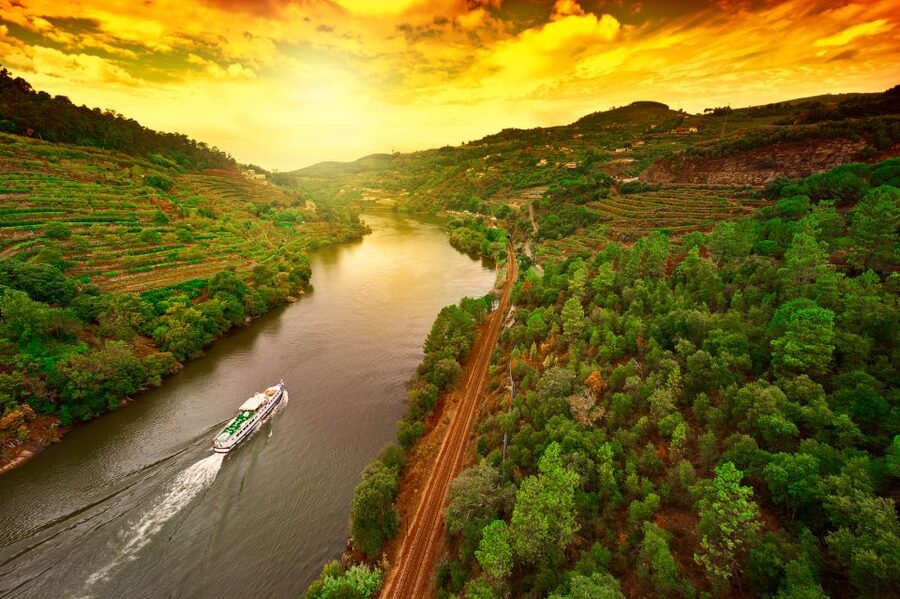 From Porto: Full-Day Douro Historical Tour - Douro Valley wine tasting in the Alijó hills