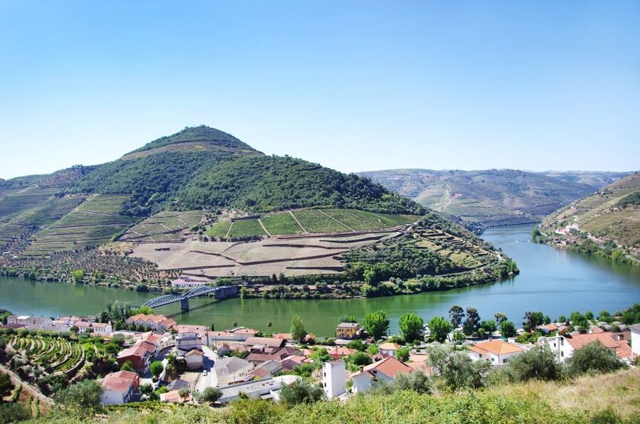 From Porto: Full-Day Douro Historical Tour - Value check: is $104 a smart use of your day?