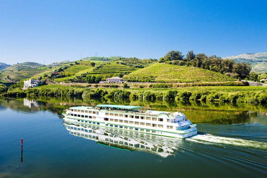 From Porto: Full-Day Douro Historical Tour - Who this Douro Historical Tour is best for