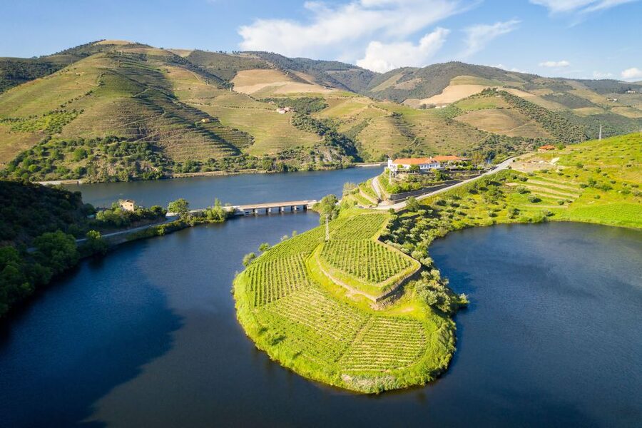 From Porto: Full-Day Douro Valley Trip - Key things I’d prioritize on this Douro Valley day trip