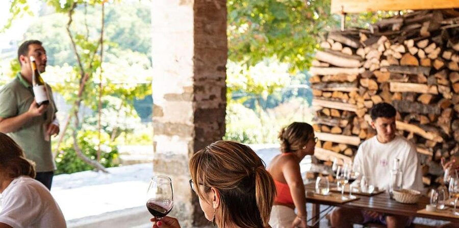 From Porto: Full-Day Douro Valley Trip - Port Wine Expectations: Set Them Before You Go