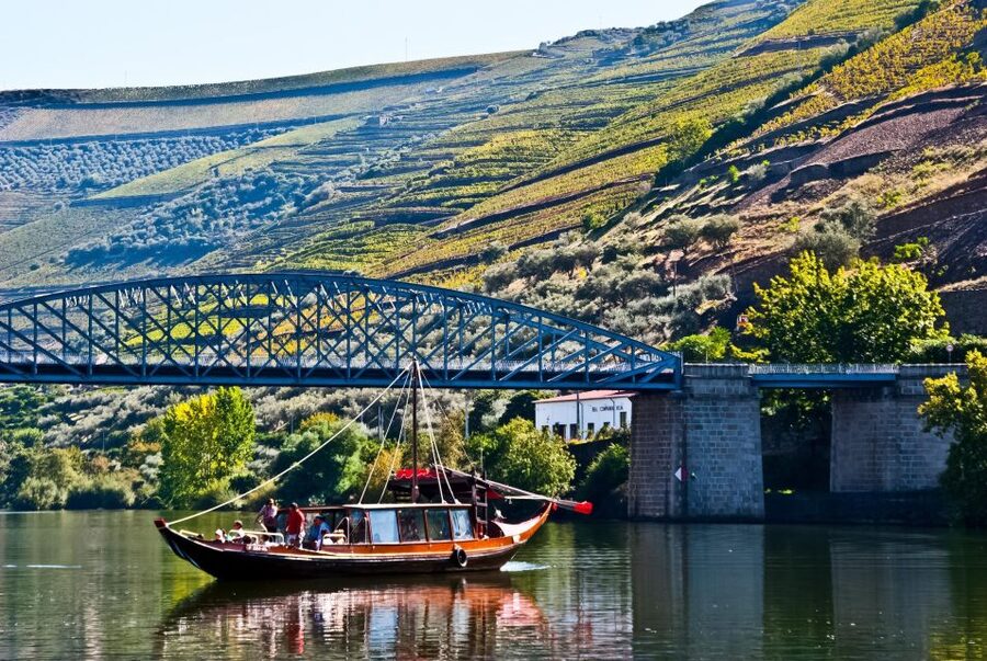 From Porto: Full-Day Douro Valley Trip - Lunch in a Wine Cellar: Douro Pairing and Diet-Friendly Options
