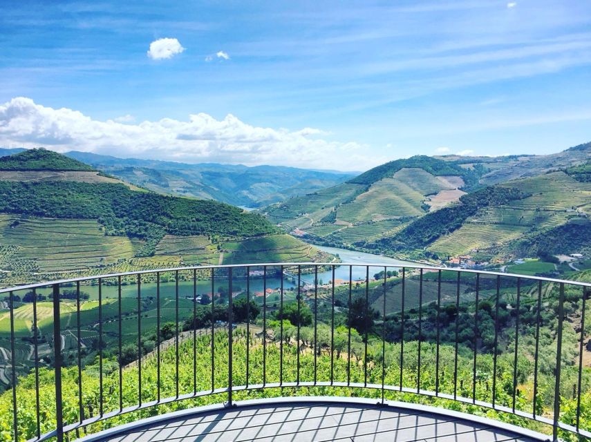 From Porto: Full-Day Douro Valley Trip - Pinhão and the Douro River Cruise: Your Reset Button