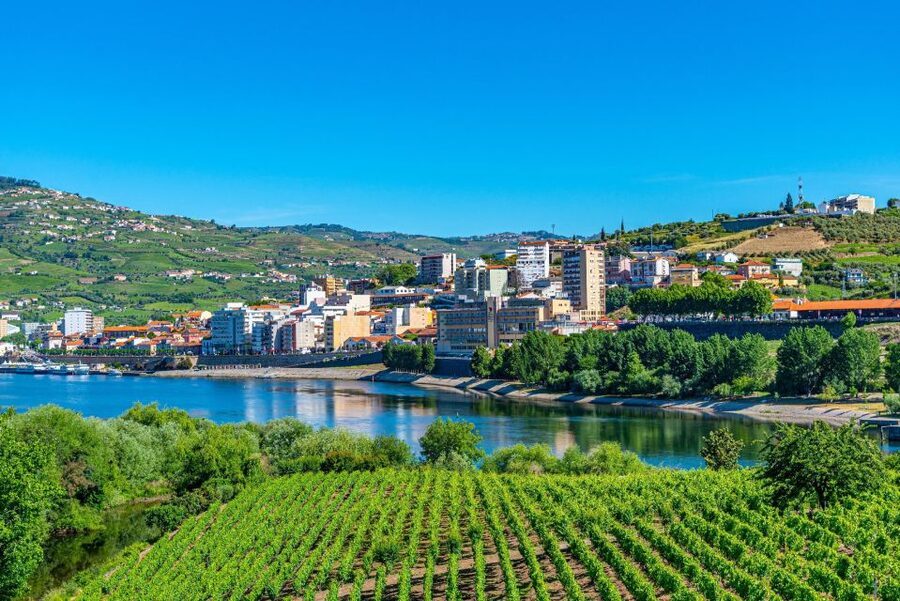 From Porto: Full-Day Douro Valley Trip - What You Learn on the Drive and in the Cellars