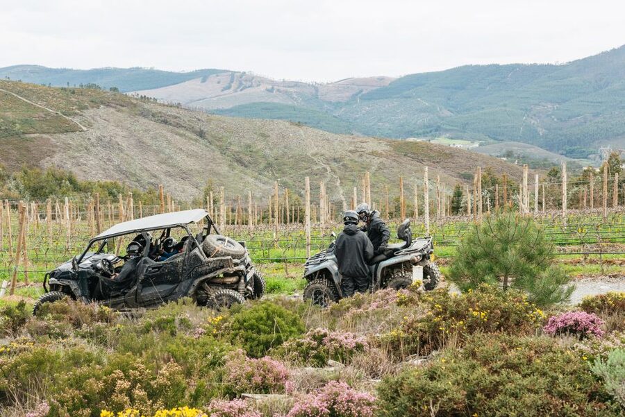 From Porto: Off-Road Buggy Adventure - Key highlights you will remember