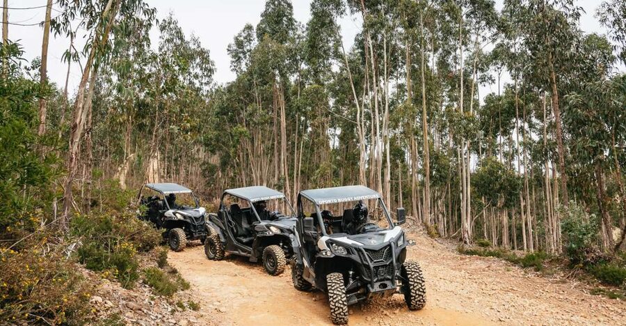 From Porto: Off-Road Buggy Adventure - Pickup and Meeting Point: Where to Start in Porto and Gaia