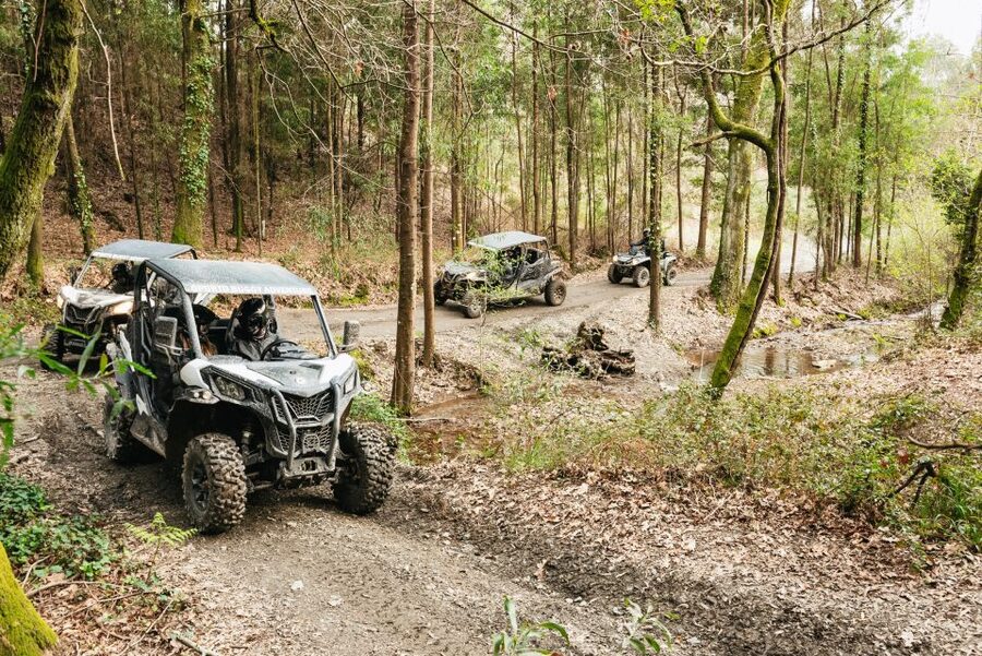 From Porto: Off-Road Buggy Adventure - What You Really Get in 3 Hours: The Right Amount of Adrenaline