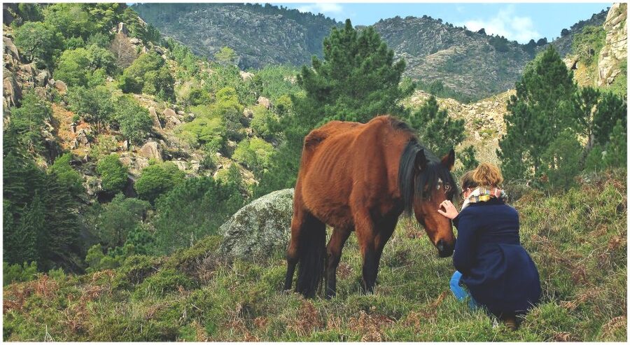 From Porto: Peneda-Gerês National Park Tour with Lunch - The village walk: traditions, heritage, and wolf stories