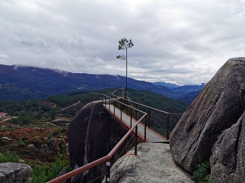 From Porto: Peneda-Gerês National Park Tour with Lunch - Environmental reforestation project: what you’re actually helping with