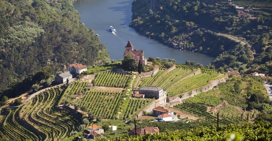From Porto: Premium Douro Valley Small-Group Wine Tour - Key things that make this Douro tour worth it