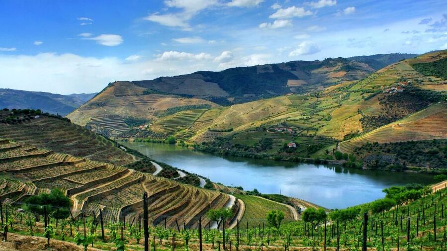 From Porto: Régua to Porto River Cruise with Lunch on Board - Key things that make this Douro day work