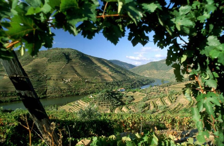 From Porto: Régua to Porto River Cruise with Lunch on Board - Régua stop: where the wine story starts (and why it’s worth looking up)