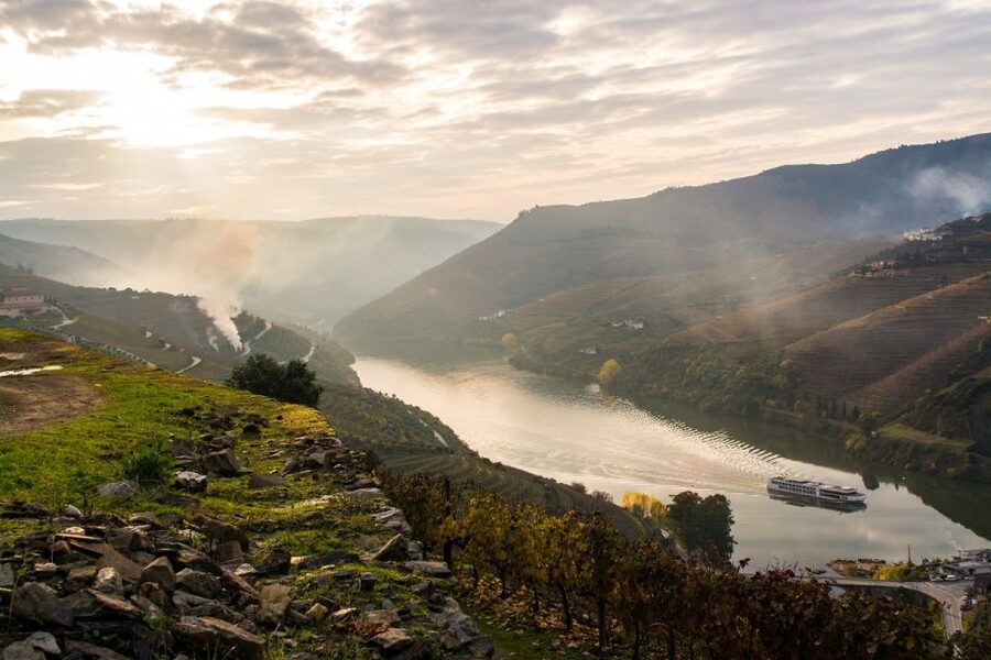 From Porto: Régua to Porto River Cruise with Lunch on Board - Lunch on board: what “all-inclusive” means in real life