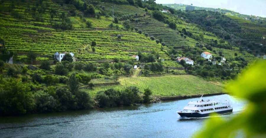 From Porto: Régua to Porto River Cruise with Lunch on Board - Dam crossings: Carrapatelo and Crestuma-Lever, the day’s pace-makers