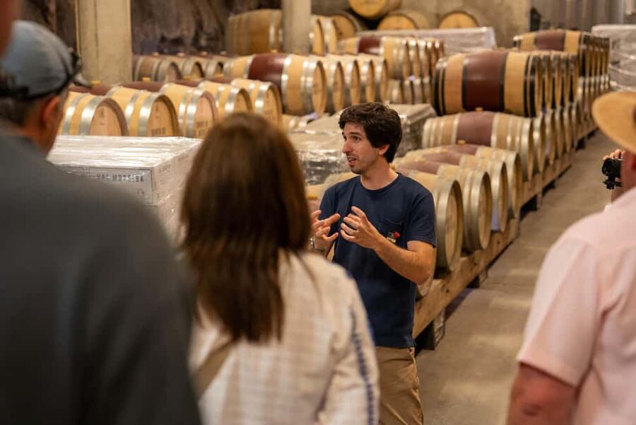 From Porto: Small Group Douro Valley Tour with Wine & Cruise - Value Check: What $147 Buys You in the Douro