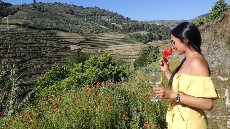 From Porto: Tastings at 2 Wineries, Chef's Lunch & Boat Tour - Key Moments You’ll Care About