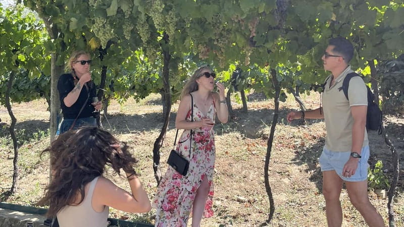 From Porto: Tastings at 2 Wineries, Chef's Lunch & Boat Tour - Price and Value: Does $134 Make Sense for What You Get?