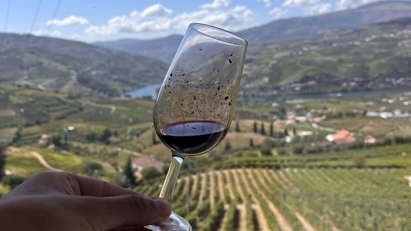 From Porto: Tastings at 2 Wineries, Chef's Lunch & Boat Tour - Farm-to-Table Lunch and Olive Oil Tastings (Where the Day Actually Feeds You)