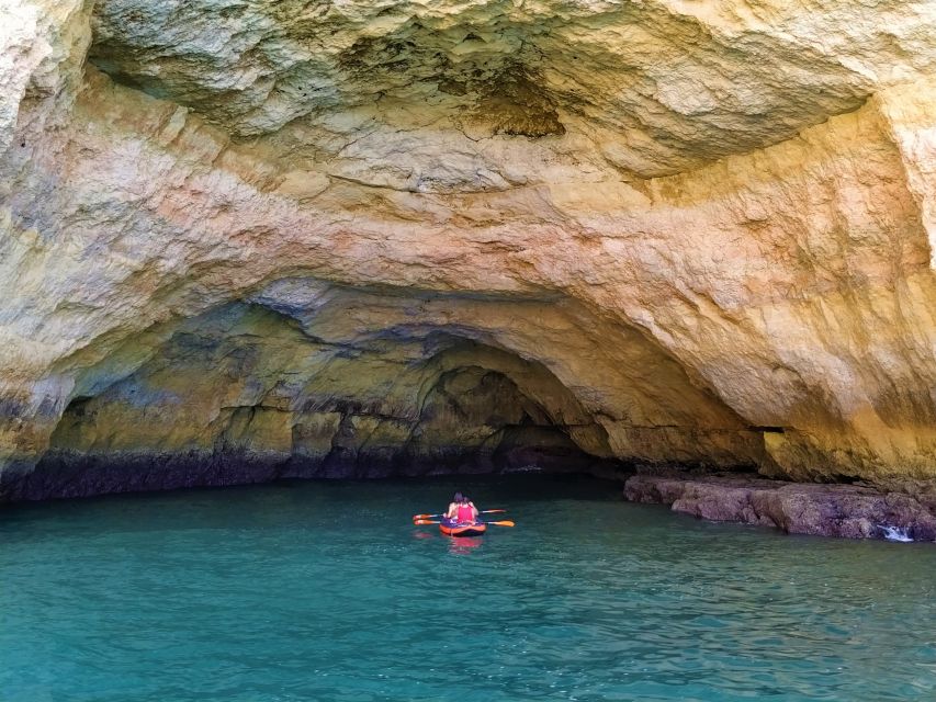From Vilamoura: 2.5-Hour Benagil Cave and Dolphins Boat Tour - Dolphin watching: wild dolphins, real chances, and how the crew handles it