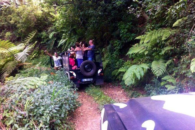 Full Day Jeep Safari East - Pico do Areeiro - Santana - Ponta de são Lourenço - Porto da Cruz and Engenhos do Norte rum tasting