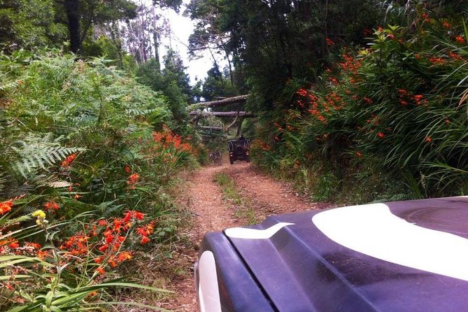 Full-Day Jeep Safari West: Fanal, Porto Moniz, Seixal, Cabo Girão - Why this West Madeira jeep safari feels different